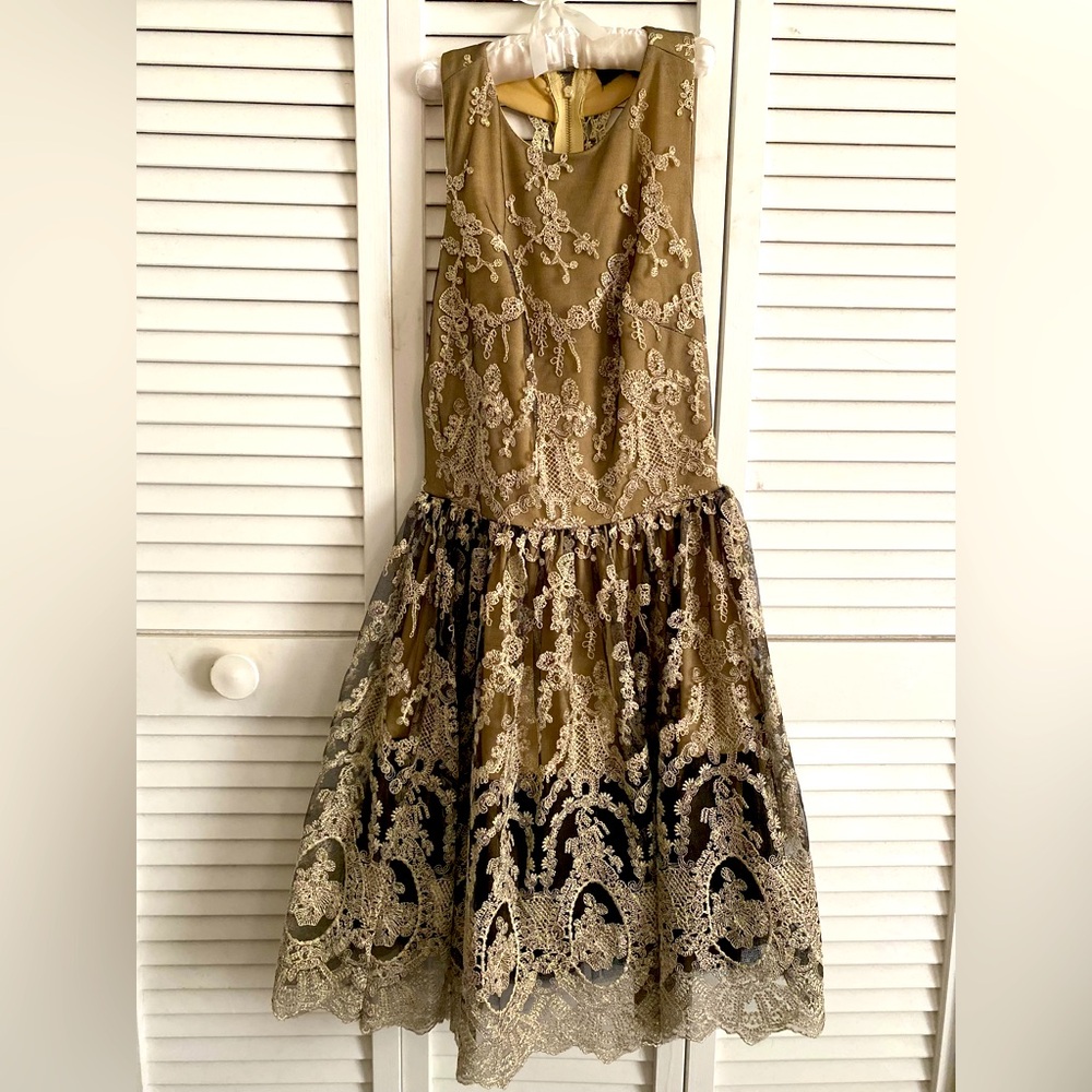 Romeo and Juliet Couture cocktail embroidered lace tulle mini dress size S.